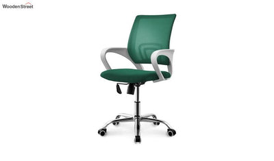Terra Pearl Green Mesh Revolving Office Chair