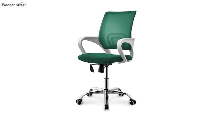 Terra Pearl Green Mesh Revolving Office Chair