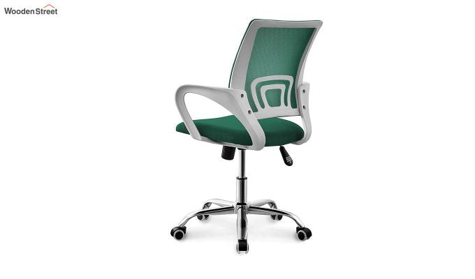 Terra Pearl Green Mesh Revolving Office Chair