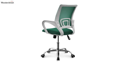 Terra Pearl Green Mesh Revolving Office Chair